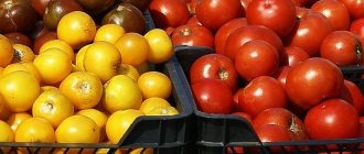 64 лучших сорта томатов на 2020 год: рейтинг с отзывами и фото