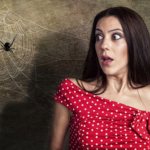 Арахнофобия: почему мы боимся пауков. Арахнофобия