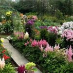 Болезни и вредители цветов в саду: фото и средства защиты