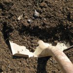 Часто состояние почвы улучшают полной ее заменой