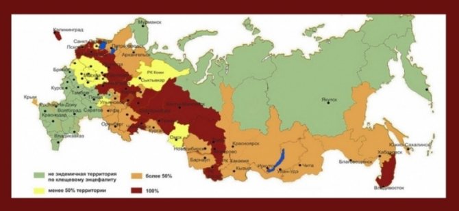 Эндемичные территории России по клещевому энцефалиту
