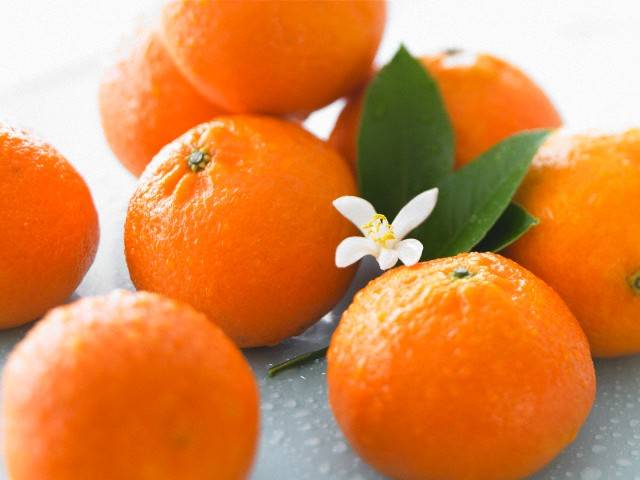 Гибрид апельсина и мандарина, название которого клементин