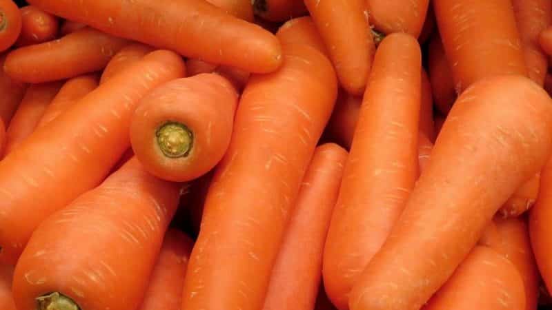 Гибрид моркови для долгого хранения Канада f1