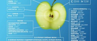 Химический состав яблок