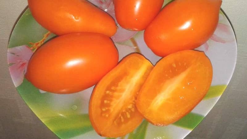 'Исполняет желания дачников о богатом урожае - томат 