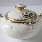 Как избавиться от муравьев с помощью уксуса