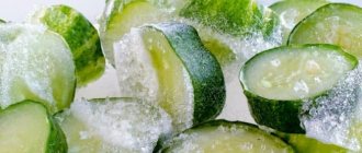 Как заморозить свежие огурцы в морозилке на зиму: пошаговая инструкция от подготовки овощей до их разморозки