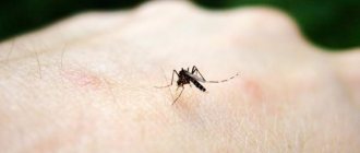 комариный укус