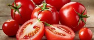 красные томаты