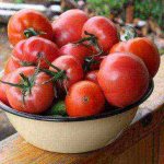 лучшие сорта детерминантных помидоров