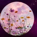 Лунный календарь посадки цветов в 2021 году