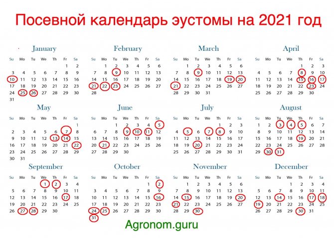 Лунный посевной календарь на 2021