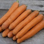 морковь роял описание