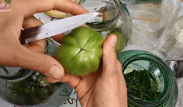надрез на зеленом помидоре