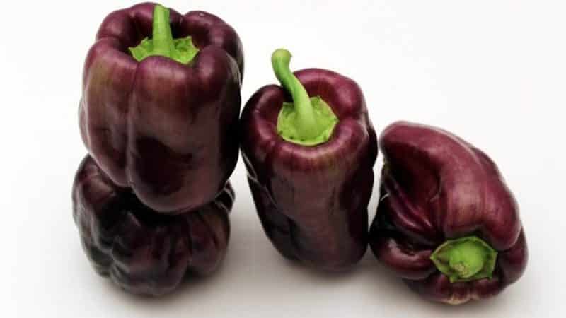 'Необычный сорт с фиолетовыми плодами - перец 