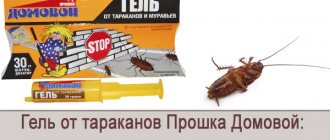 Обзор геля от тараканов Прошка Домовой: инструкция по применению