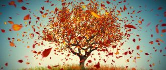 почему листья опадают