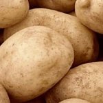 Популярный среди огородников среднепоздний сорт картофеля Тулеевский