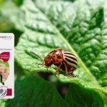 препарат табу против колорадского жука