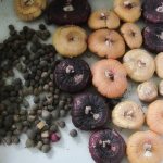 Размножение гладиолусов: способы, подготовка луковиц и их хранение