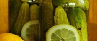 Рецепт вкусных и хрустящих маринованных огурцов с лимоном на зиму