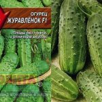 семена огурцов Журавленок f1