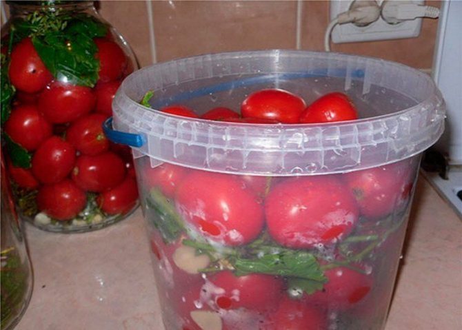 соленые помидоры в пластиковом ведре