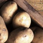 Сорт картофеля Реванш: характеристика, отзывы, урожайность