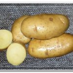 сорт картошки скарб