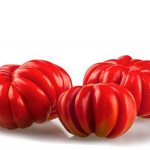Сорт томата Американский ребристый