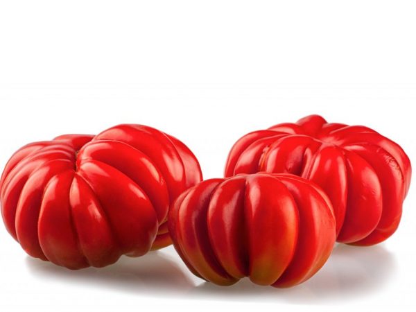Сорт томата Американский ребристый