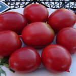 Сорт томата Сызранская пипочка: фото и описание