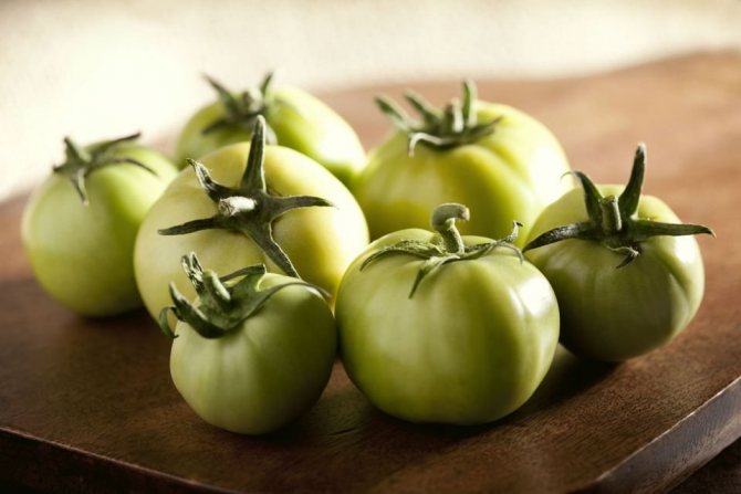 Выбор зелёных помидоров для соления