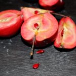 Выращивание яблони Розовый жемчуг