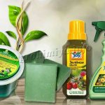 Зеленое мыло – это безвредное вещество биологического типа для защиты растений от вредителей